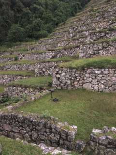 Explorando los Sonidos de la Naturaleza: Banda Sonora del Santuario Histórico de Machu Picchu
