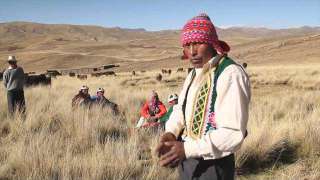 Comunidad campesina de Pumathalla (Cusco)