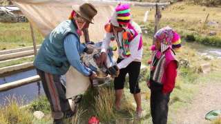 Video Pasantias - La crianza de Truchas