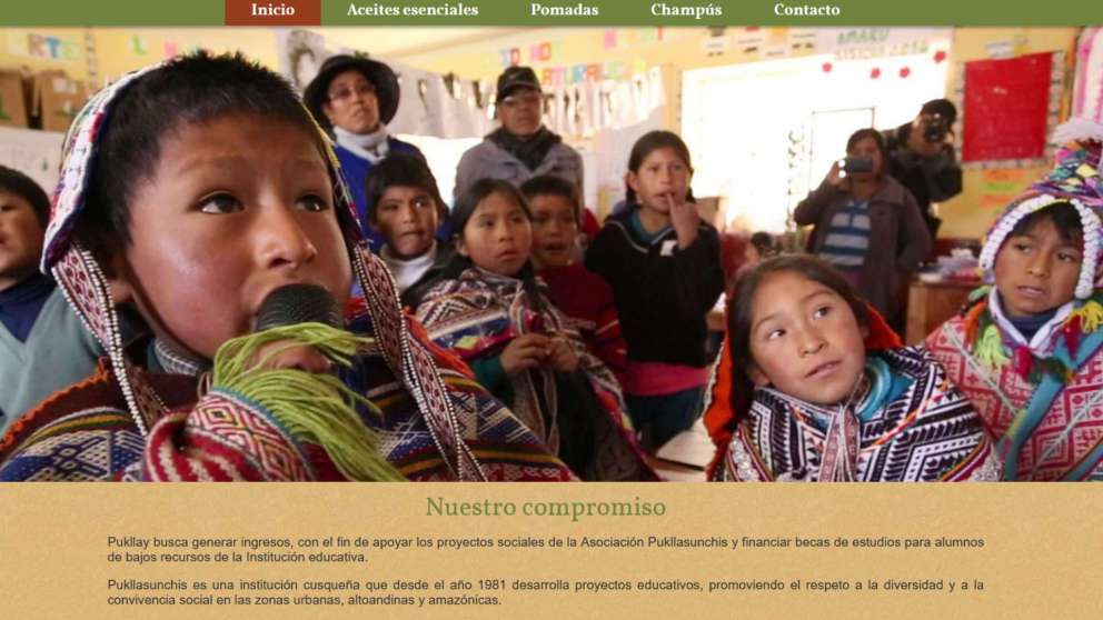 Paginas Web Cusco